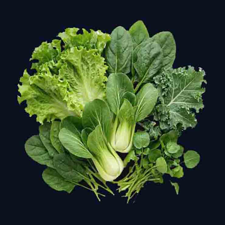 Leafy Greens